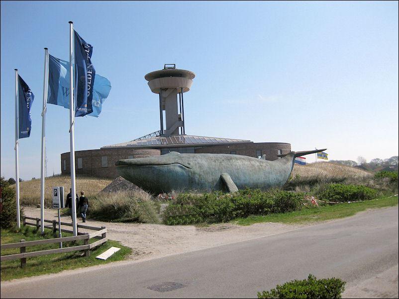 Naturkundemuseum Ameland in Nes Naturkundemuseum Ameland in Nes