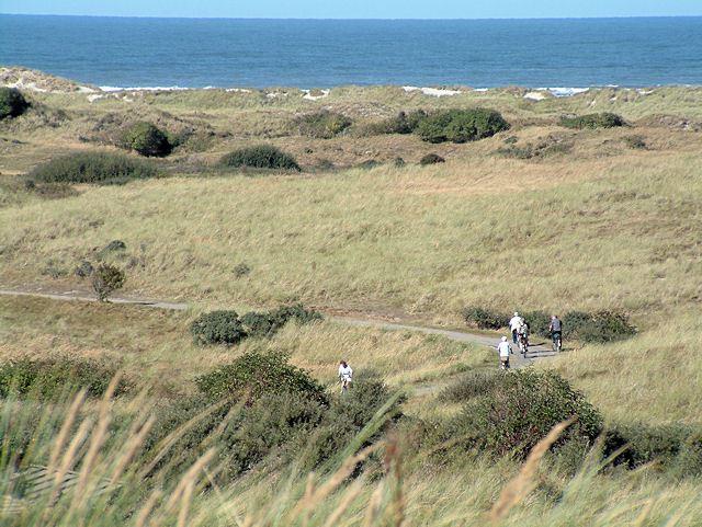 Het Oerd auf Ameland Het Oerd auf Ameland