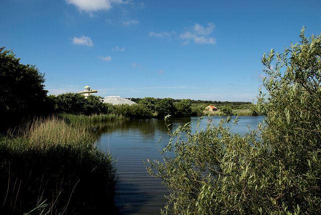 Angel-und Badeteiche in de Vleijen