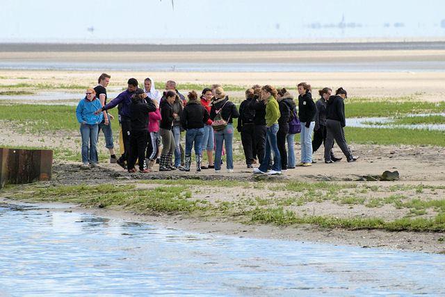 Wattwanderung durch Herrn Wijnberg
