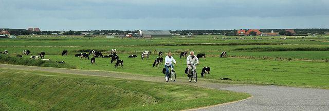 Fietstour am Deich entlang